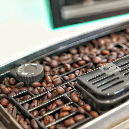 Oasis - Ciné, Balnéo&confort à La *