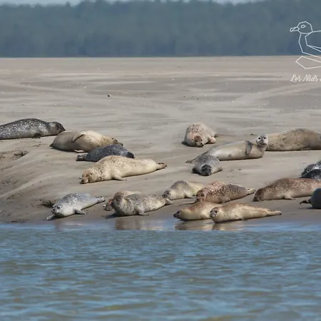 Oasis - Cine, Balneo & Confort A La