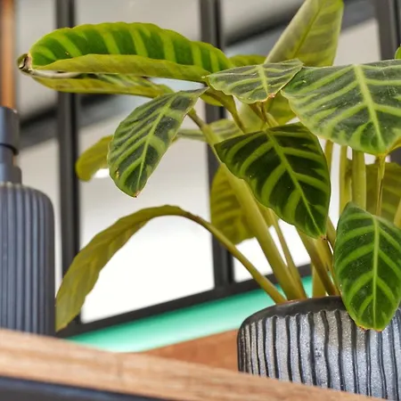 Oasis - Cine, Balneo & Confort A La